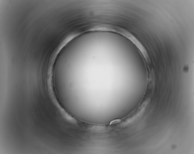 X0000102540909200808221926