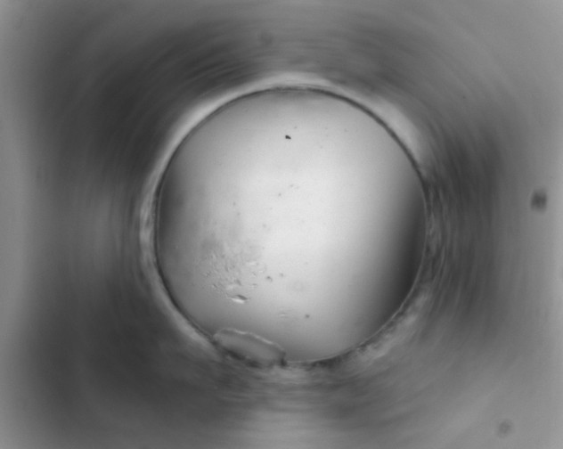 X0000102540911200808221926