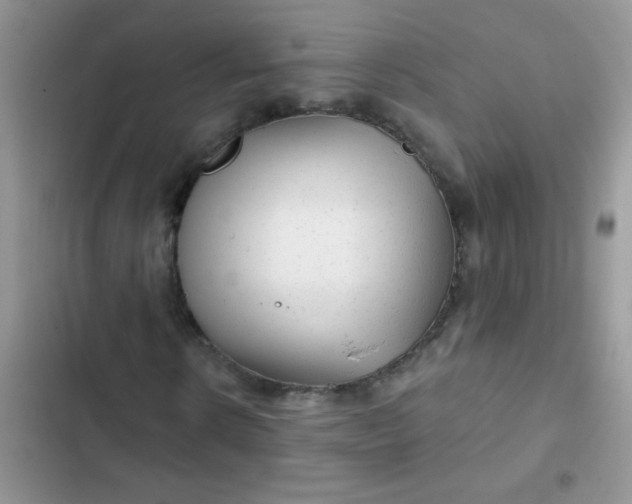 X0000102540914200808221925