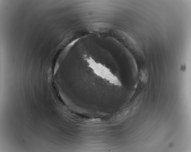 X0000102540915200808221925