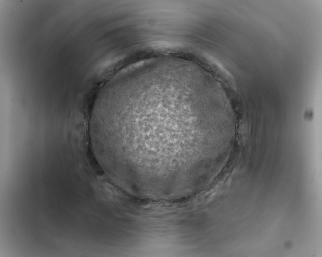 X0000102540917200808221925