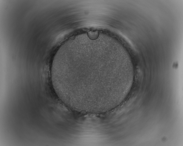 X0000102540918200808221925