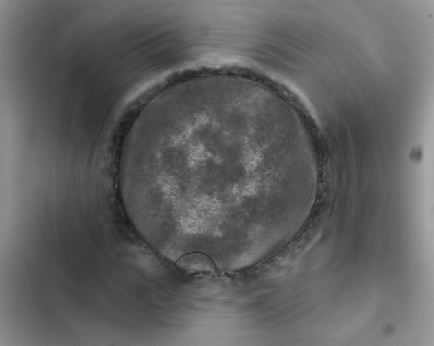 X0000102540919200808221925