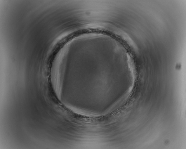 X0000102540920200808221925
