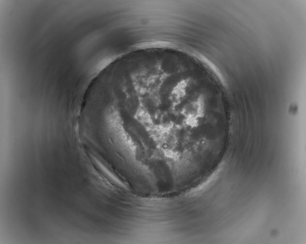X0000102540921200808221925