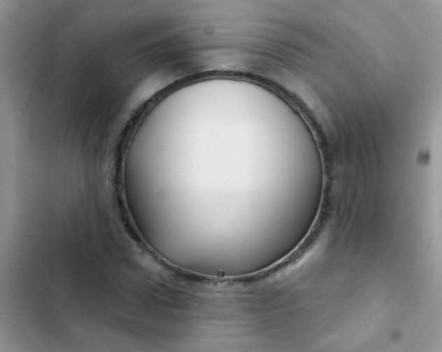 X0000102540922200808221925