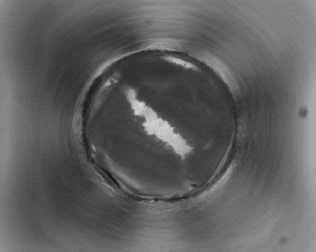 X0000102540923200808221925