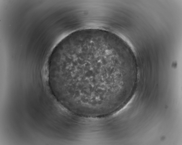 X0000102540925200808221925