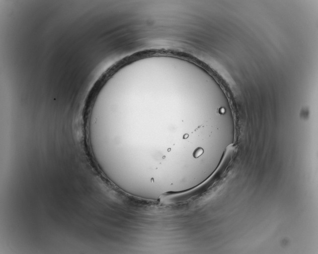 X0000102540927200808221925