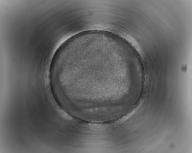 X0000102540928200808221925