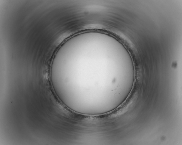 X0000102540929200808221925