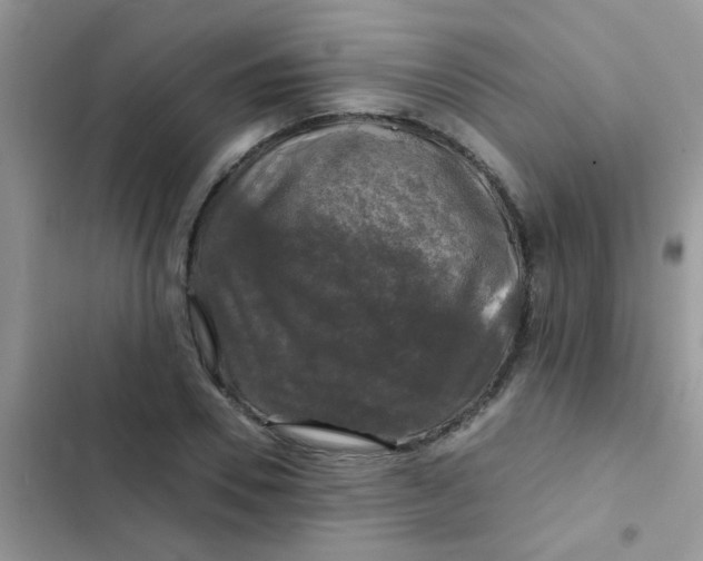 X0000102540930200808221925