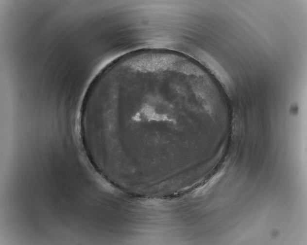 X0000102540932200808221925