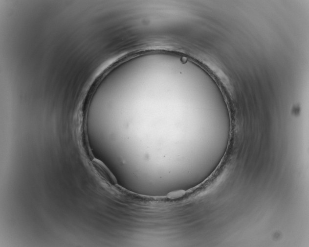 X0000102540933200808221925