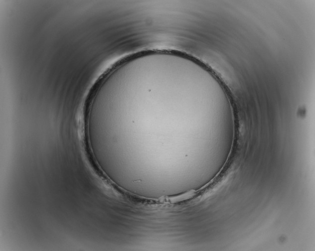 X0000102540934200808221925