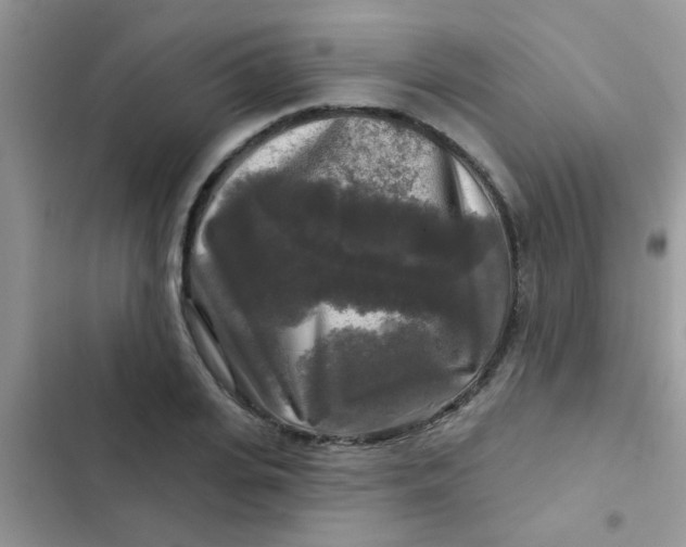 X0000102540935200808221926