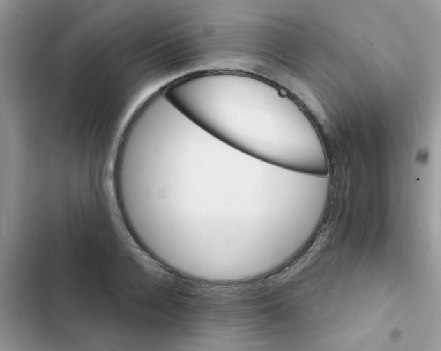 X0000102540936200808221926