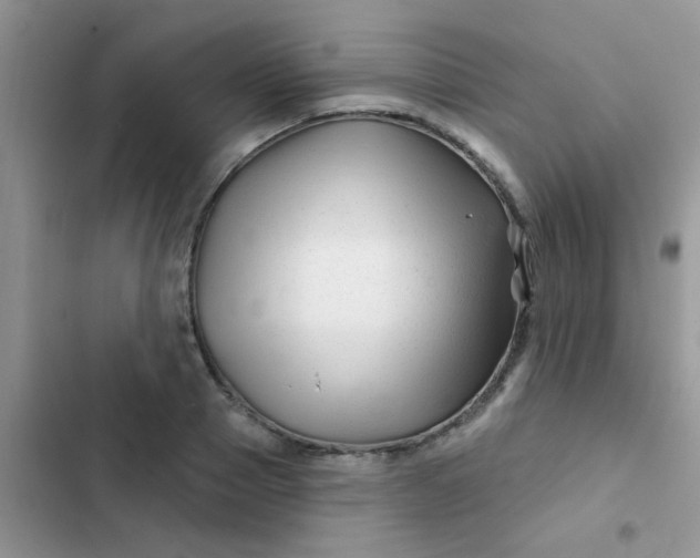 X0000102540937200808221926