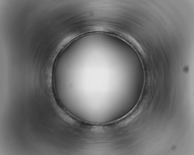X0000102540938200808221926