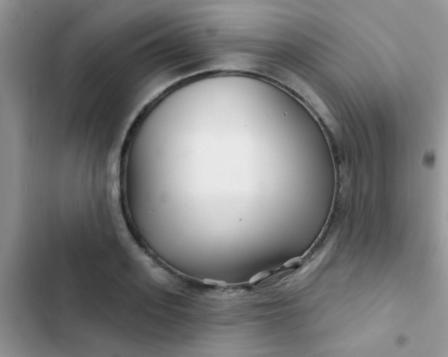X0000102540939200808221926