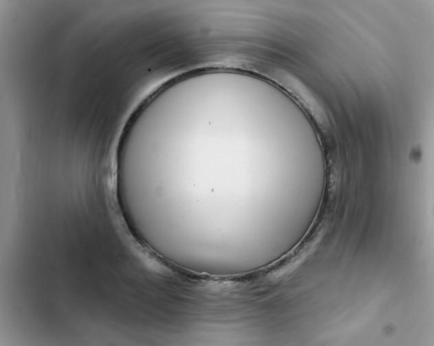 X0000102540940200808221926