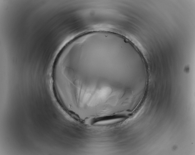 X0000102540941200808221926