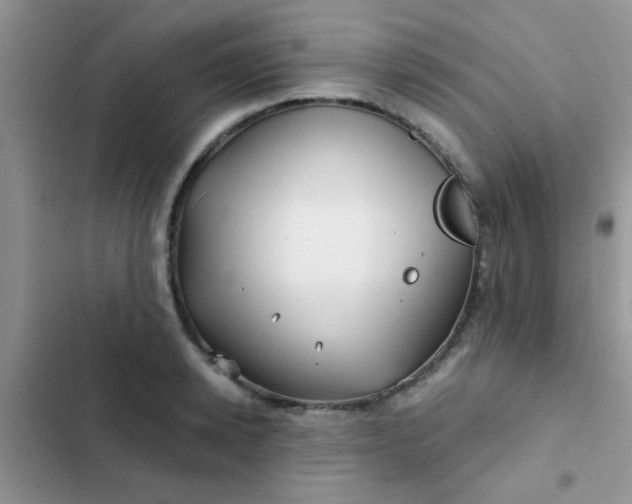 X0000102540942200808221926
