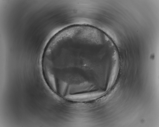 X0000102540943200808221926