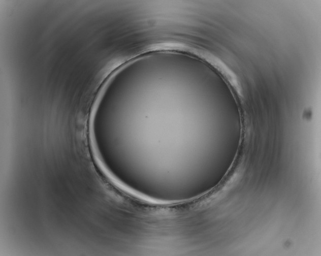 X0000102540945200808221926