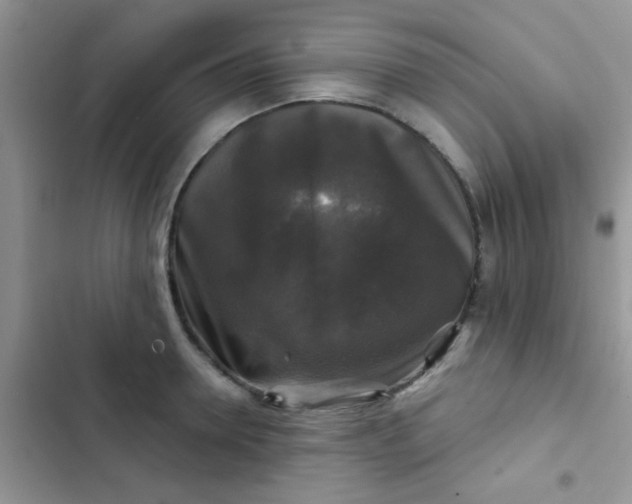 X0000102540946200808221926