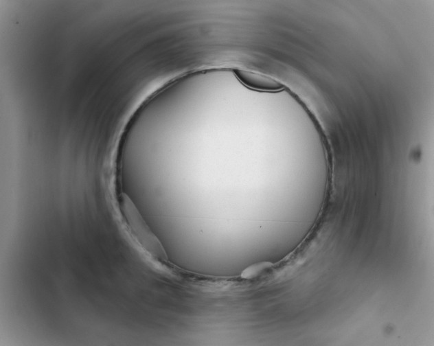 X0000102540949200808221926