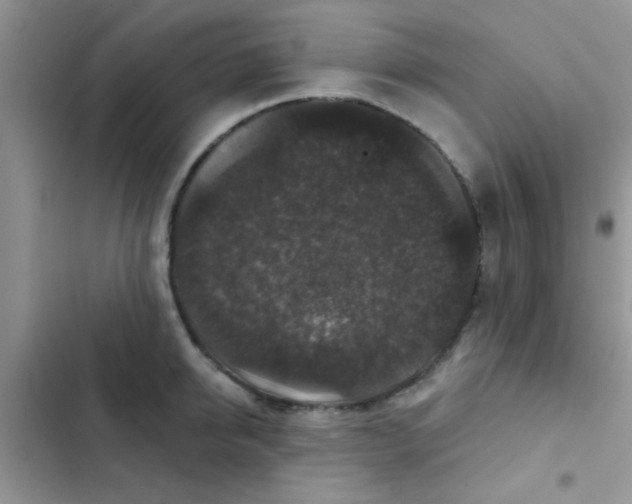 X0000102540950200808221926
