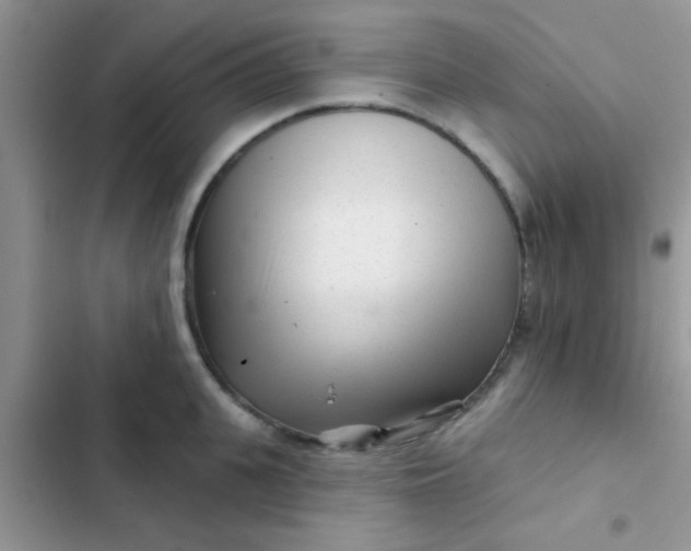 X0000102540951200808221926