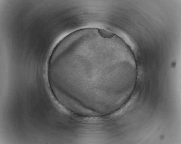 X0000102540952200808221926