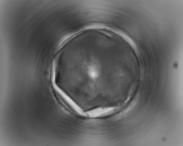 X0000102540953200808221926