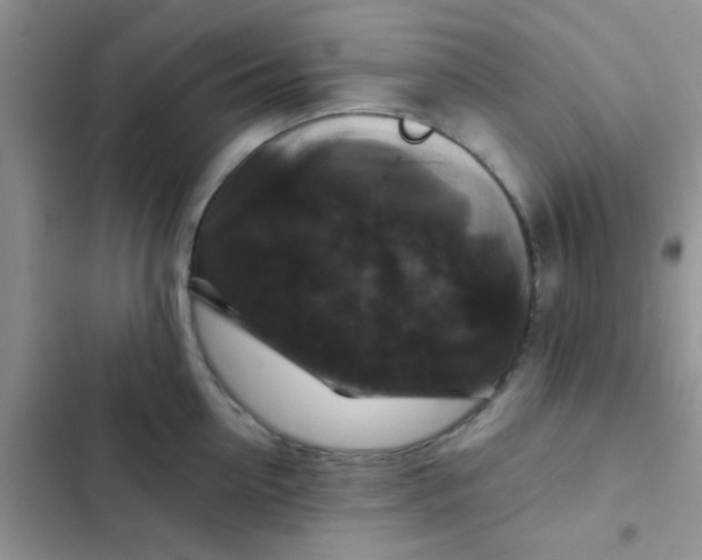 X0000102540954200808221926