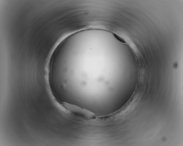 X0000102540955200808221926