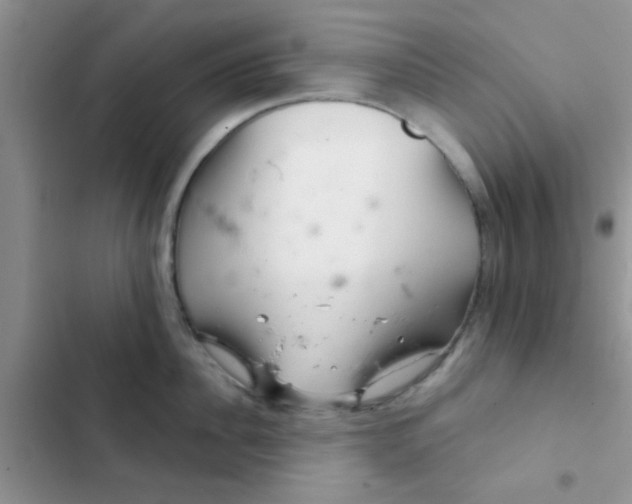 X0000102540956200808221926