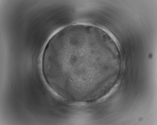 X0000102540957200808221926