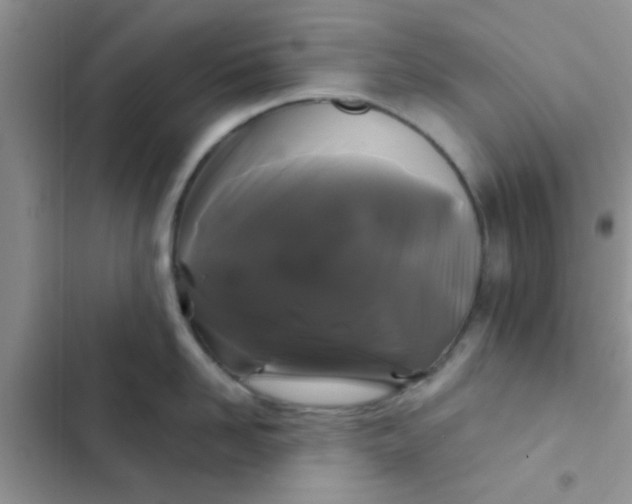 X0000102540958200808221926