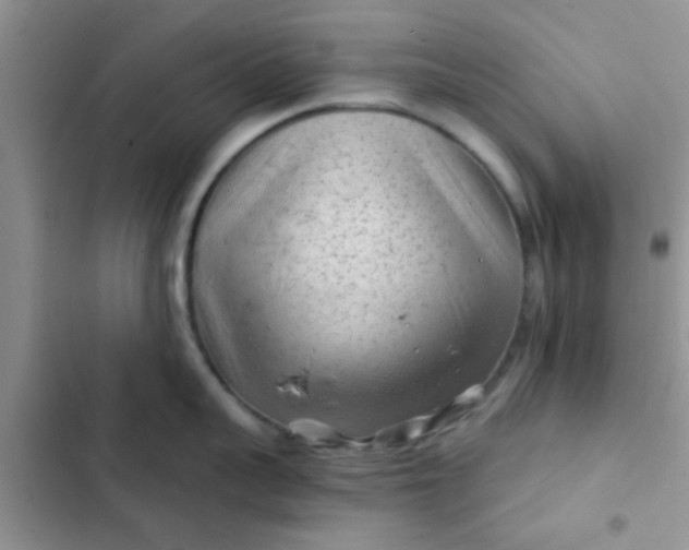 X0000102540959200808221926