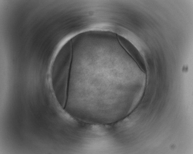 X0000102540960200808221926