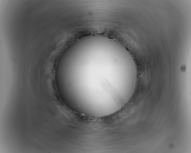 X0000102540961200808221925