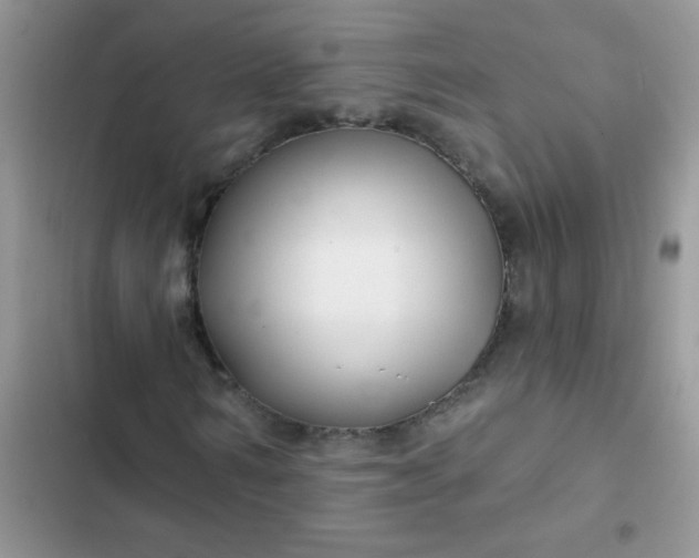 X0000102540962200808221925