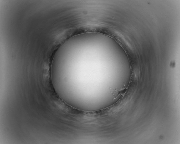 X0000102540964200808221925