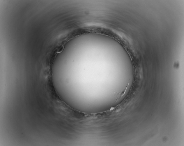 X0000102540965200808221925