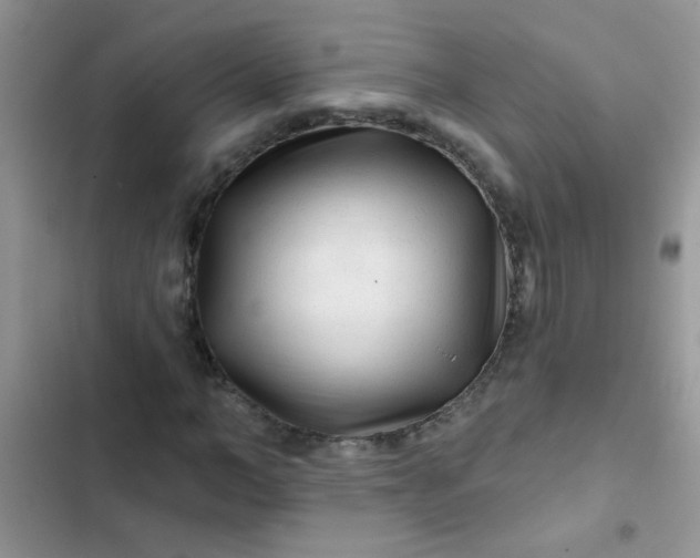 X0000102540966200808221925