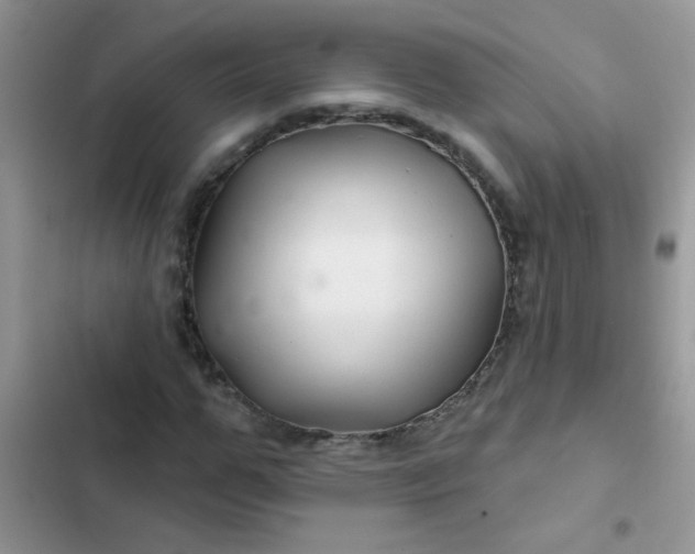 X0000102540967200808221925