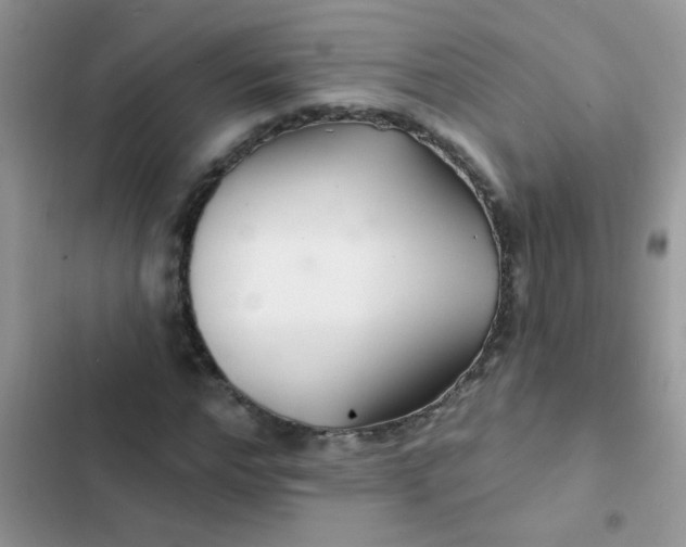 X0000102540968200808221925