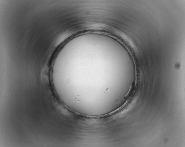 X0000102540970200808221925